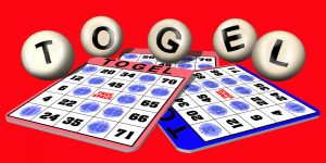 skytogel